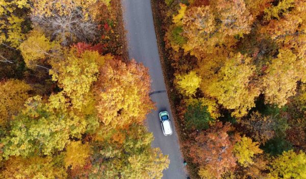Aerial view of a car on a roadway in a treed area