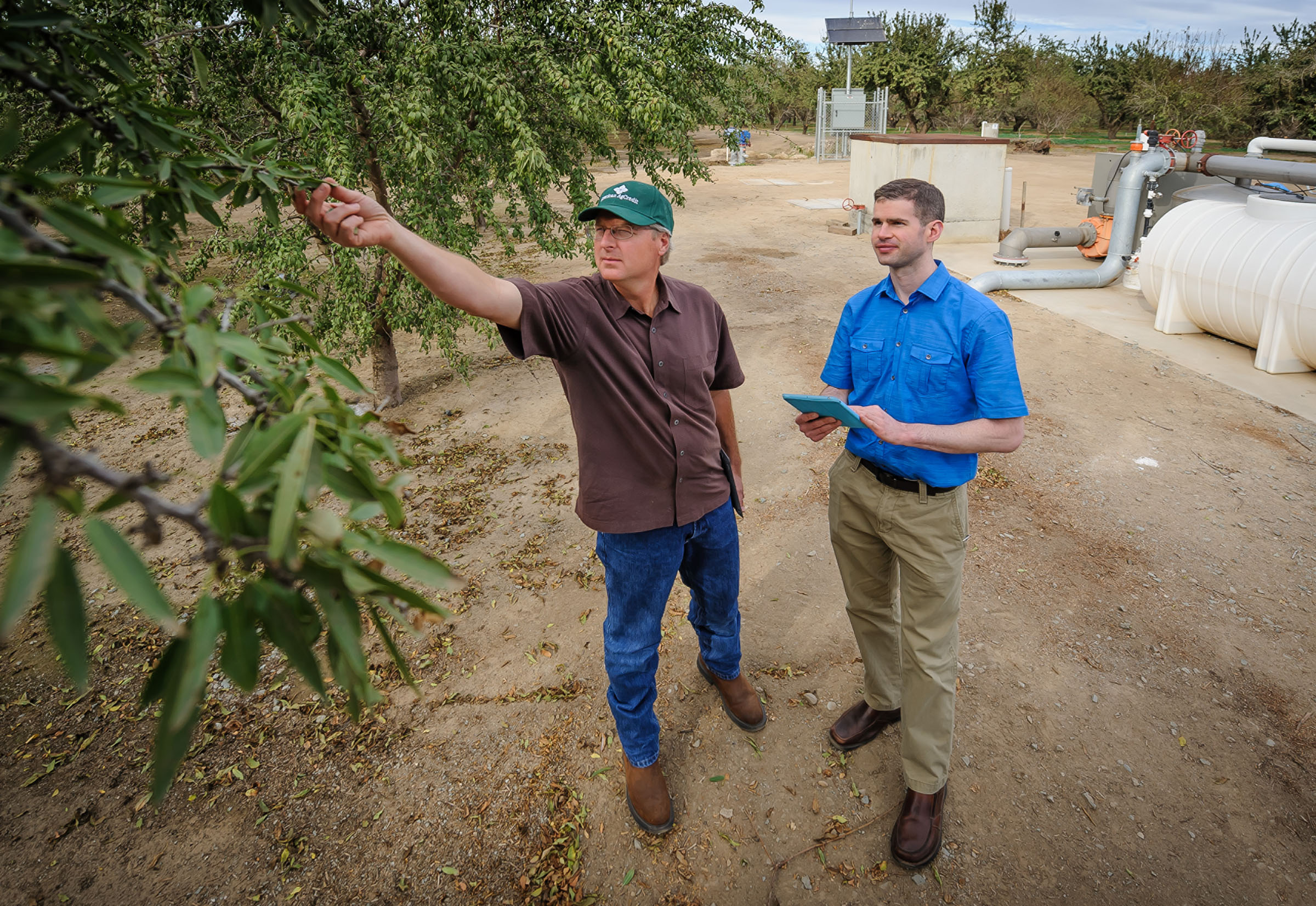 South San Joaquin Irrigation District Division 9 – projet d’amélioration de l’irrigation