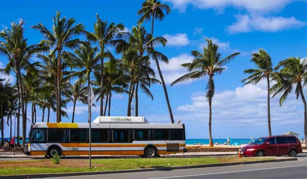 A transit bus along a beach