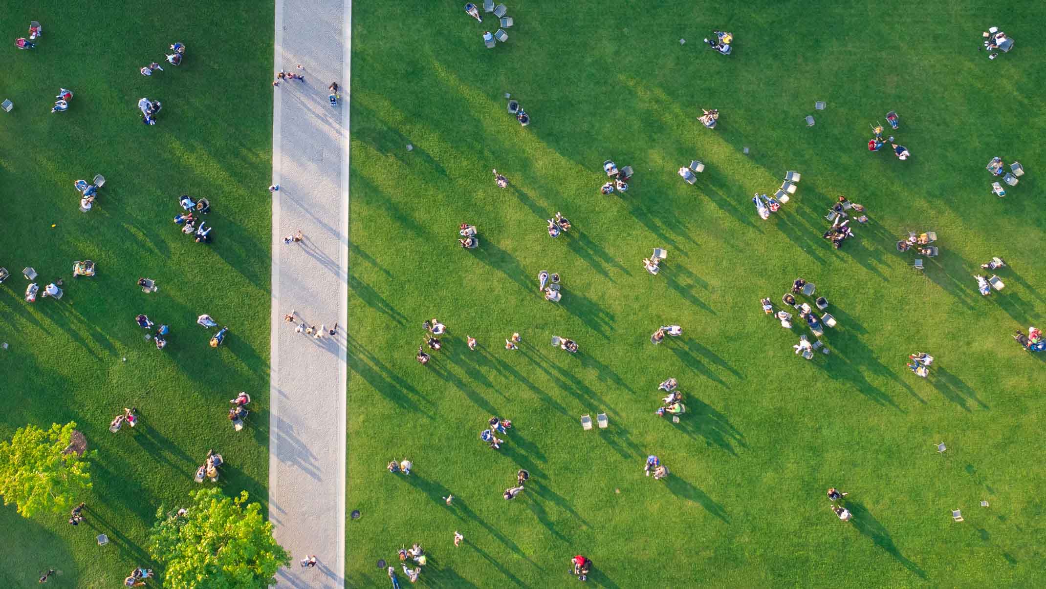 Aerial view of a park with people