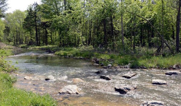 Hatchery Creek Stream Restoration