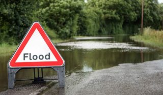 Creating communities through citizen science