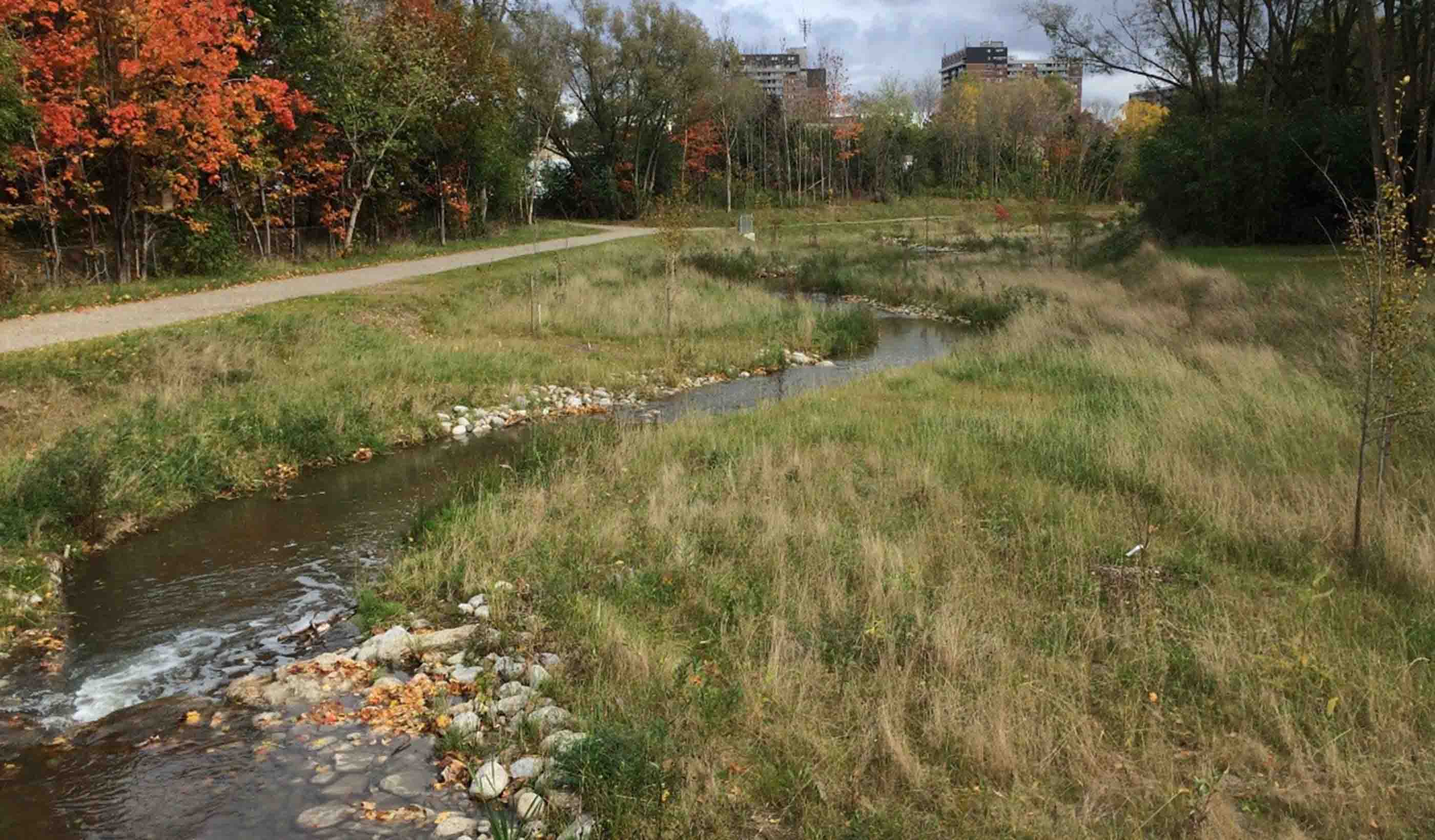 7 ways to tell if a stream restoration project is successful