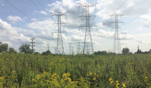 Pollinator habitat rights-of-way beneath transmission lines offer tremendous opportunity for enhancement.