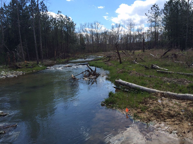 If you build it, they will come: Designing a self-sustaining trout stream