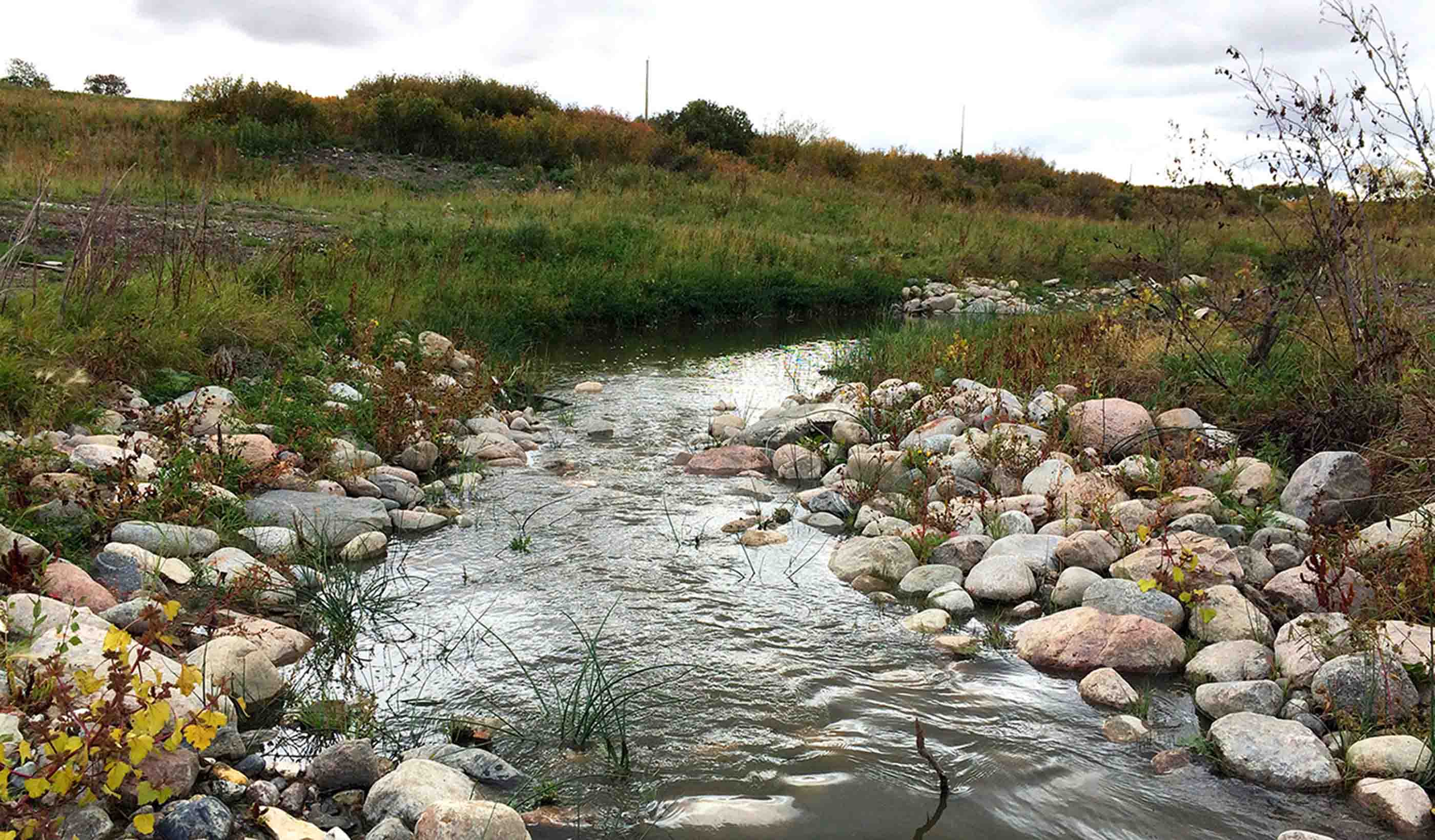 Nature is a patient, not a machine: Looking at stream restoration through the medical lens