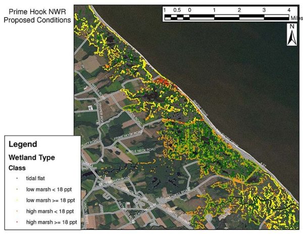 Modeled potential wetland types, Prime Hook National Wildlife Refuge. Credit: USFWS.