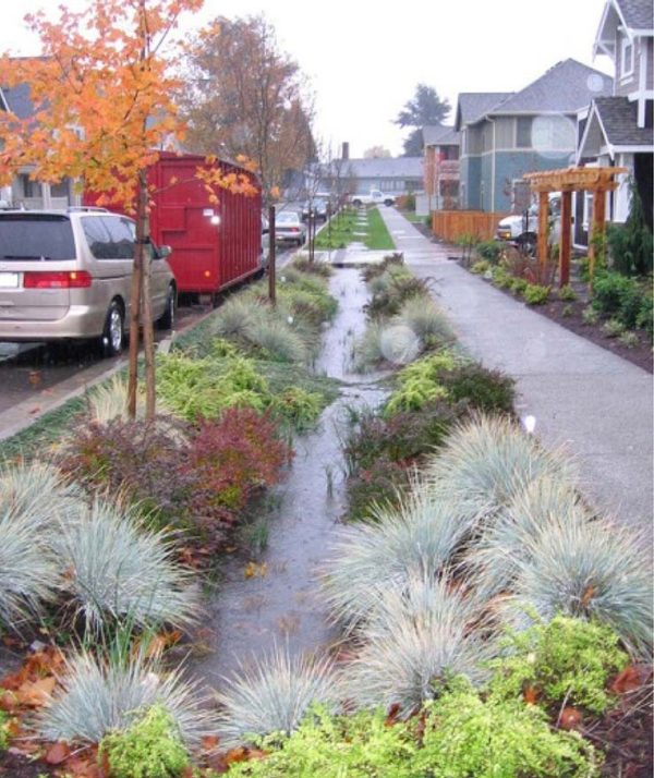Urban rain garden bioretention