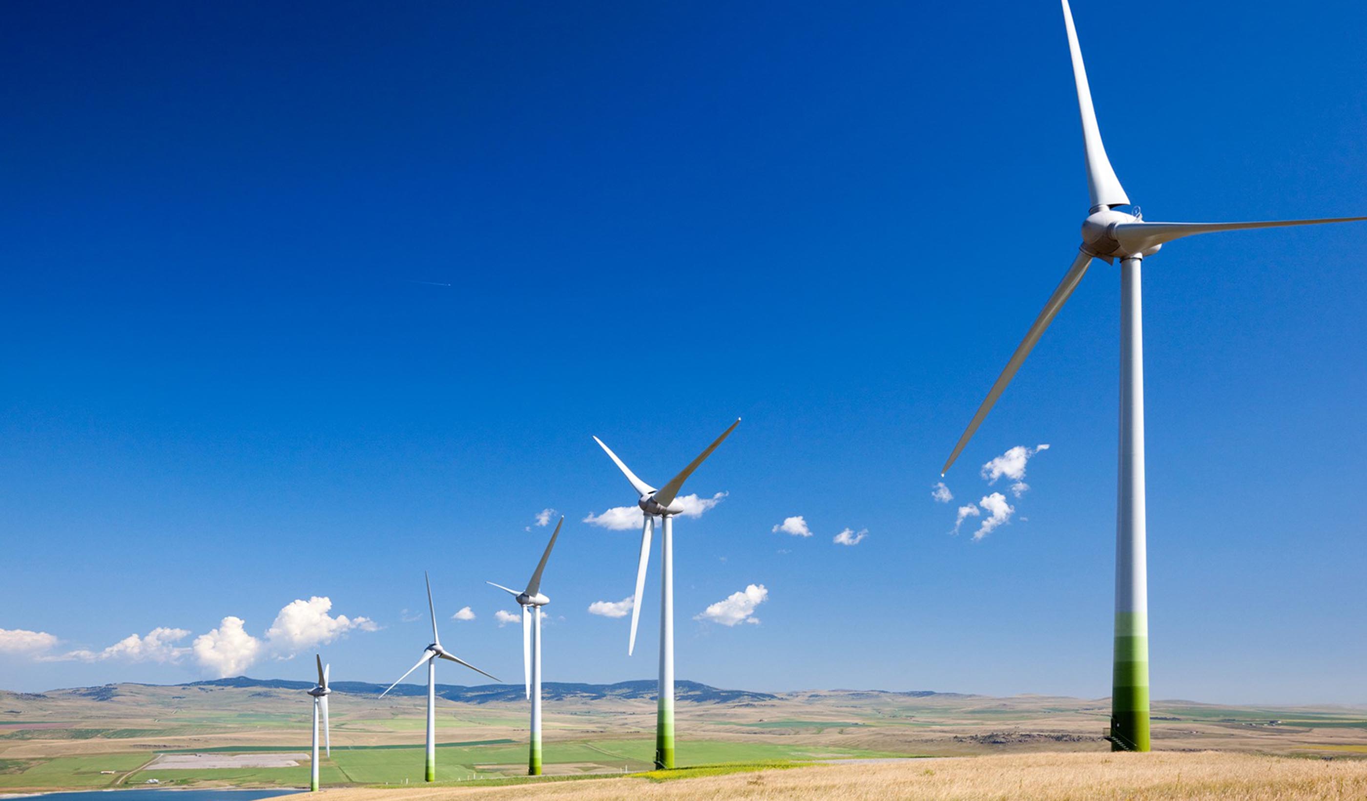 Smart curtailment: the little-known battle between nature and efficient wind power