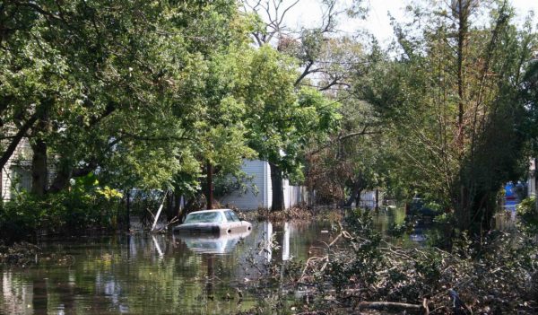 Flooded residential street and downed trees after hurricane Katrina