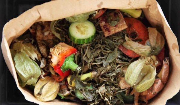 Organic vegetable waste in a brown bag.