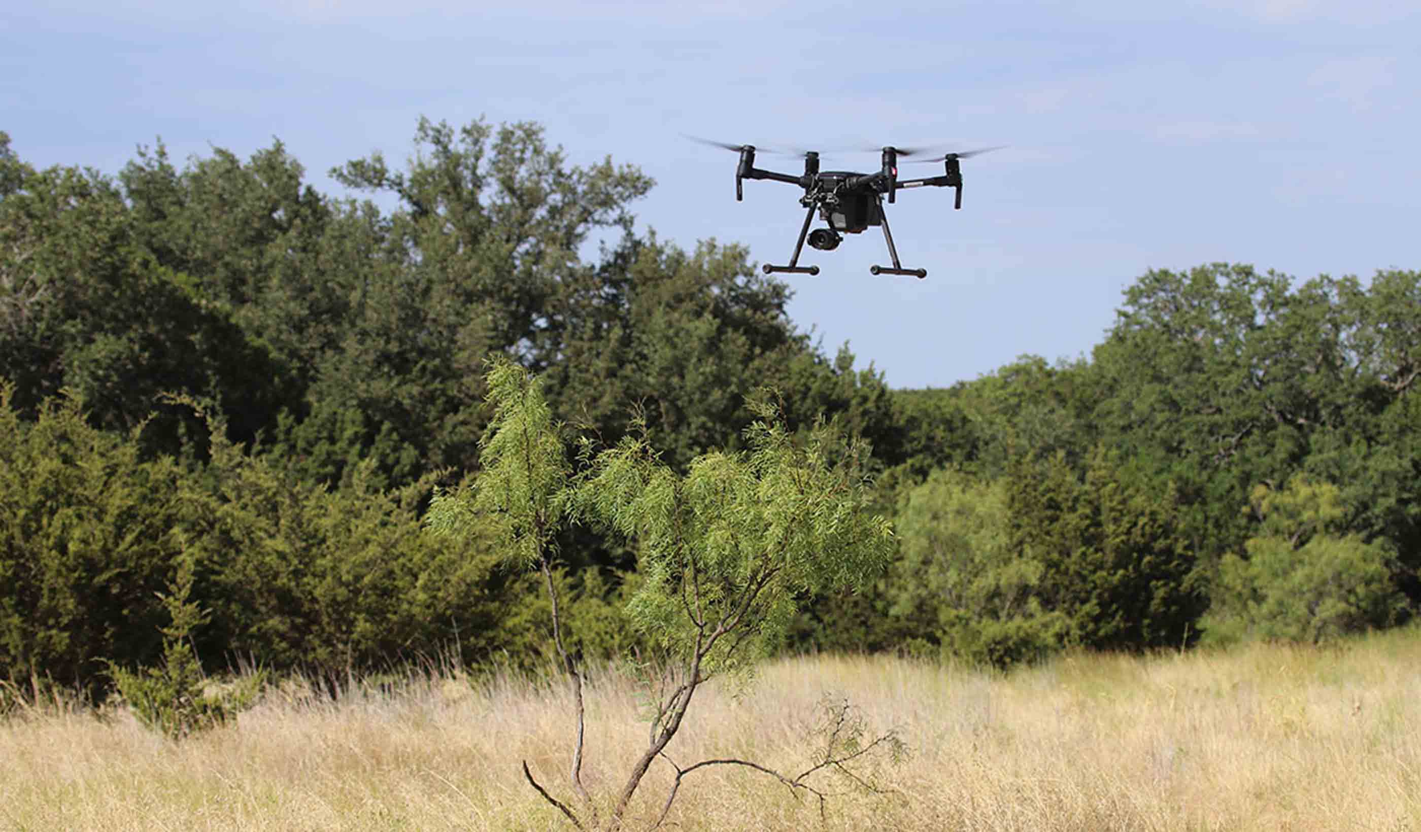 Making bird, wildlife surveys safer with innovative drone technology