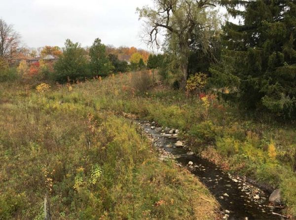 After image of stream restoration project - stream returned to its natural state.