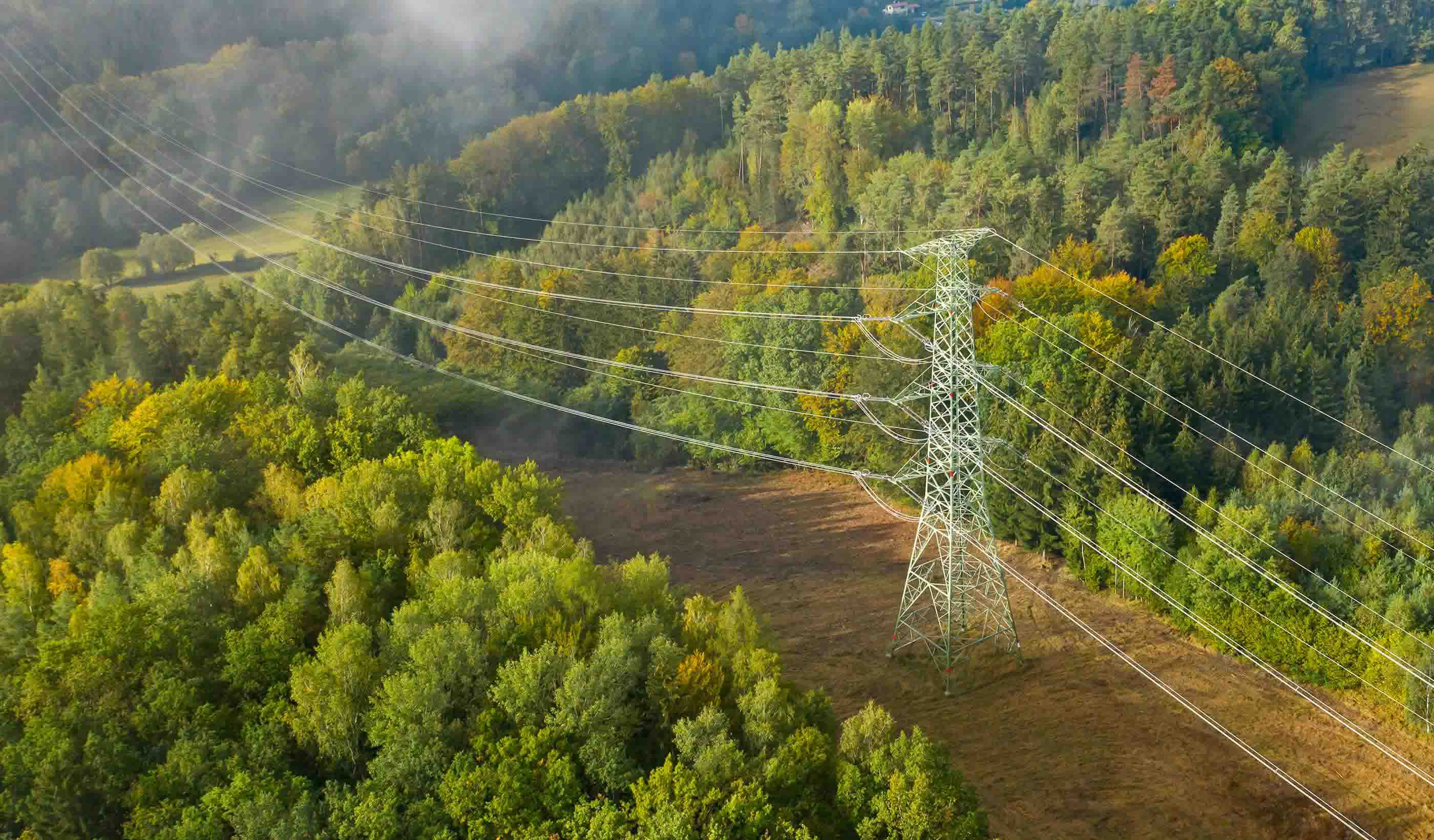 2026 AEC trends (Part 1): Nature-based solutions and improving the grid to deliver power
