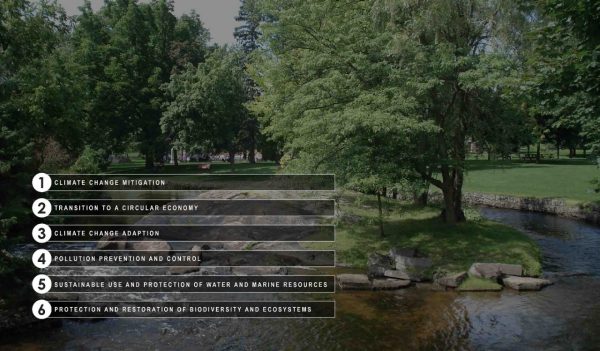 Numbered list of text overlay on background with trees and a stream.