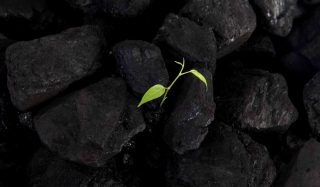 Nature-based Solutions for Coal Combustion Residuals (CCR) Facilities