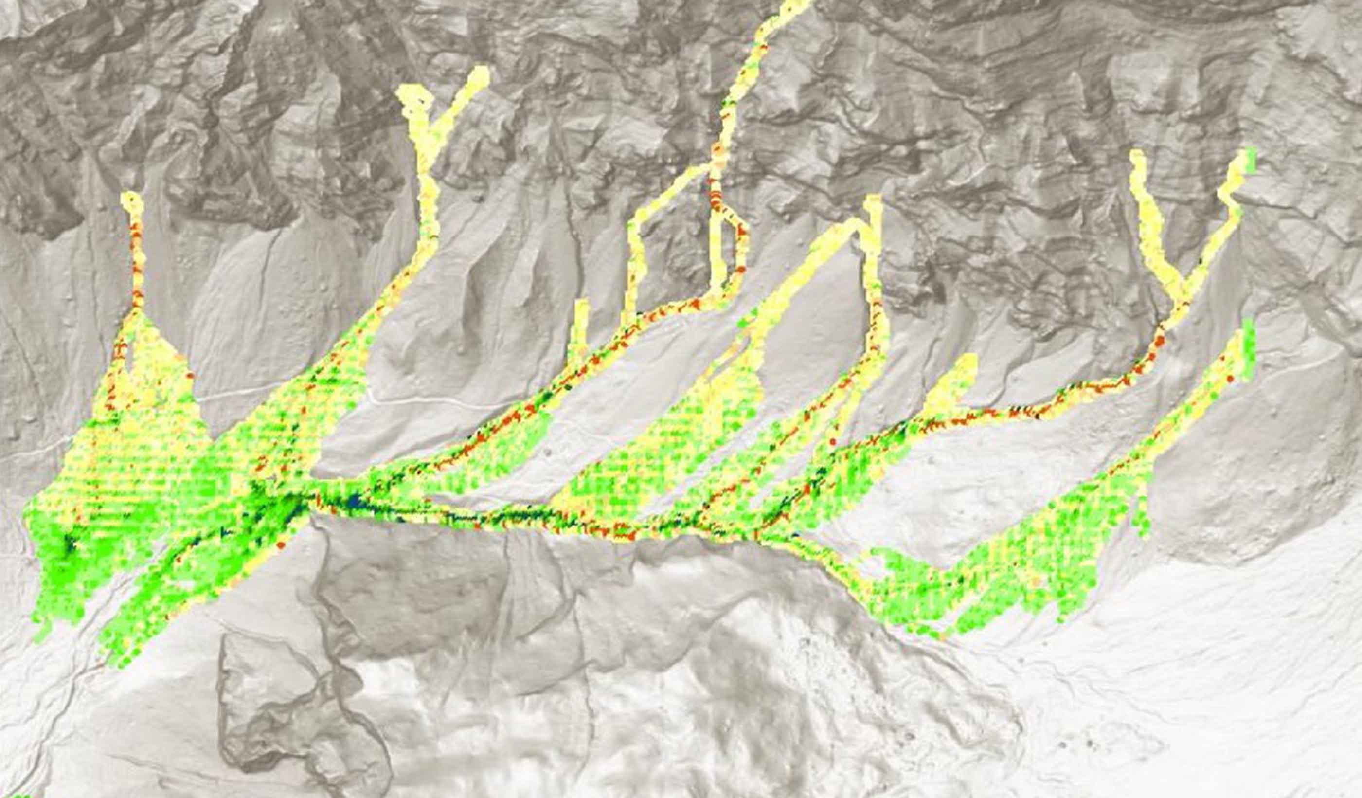 A comparison of two runout programs for debris flow assessment at the Solalex-Anzeindaz region of Switzerland