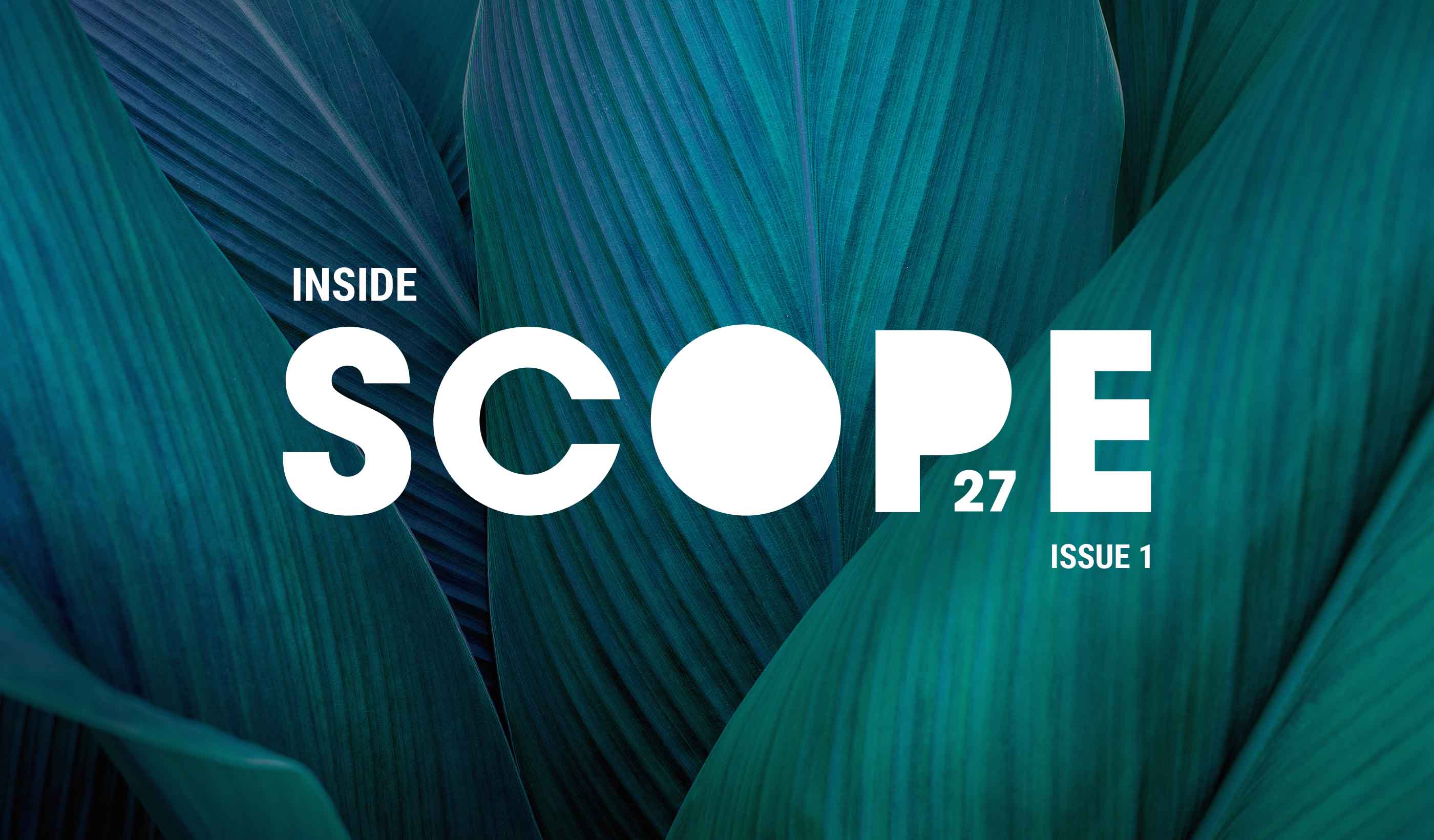Inside SCOPE Issue 1: Week 1 at COP27