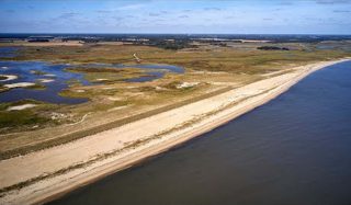 Restoration and resilience post disaster