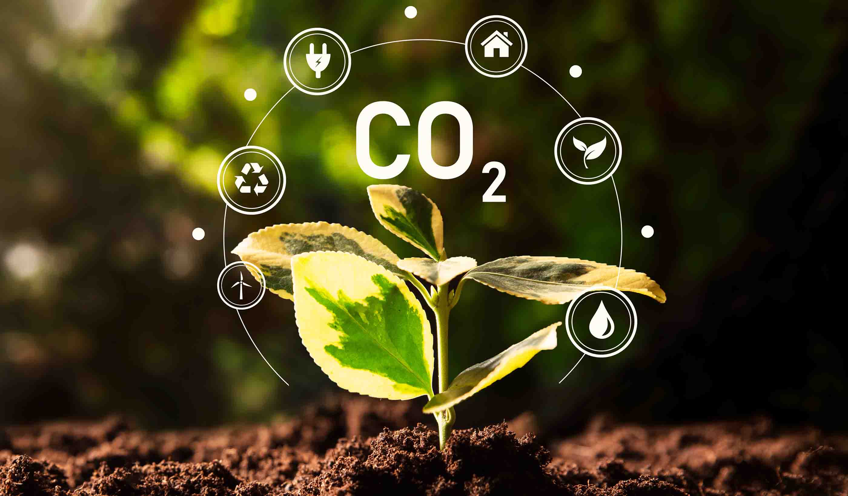 Stantec.io Podcast: The Decarbonization Episode