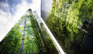 Stantec.io Podcast: The impact of nature-based solutions in design and engineering
