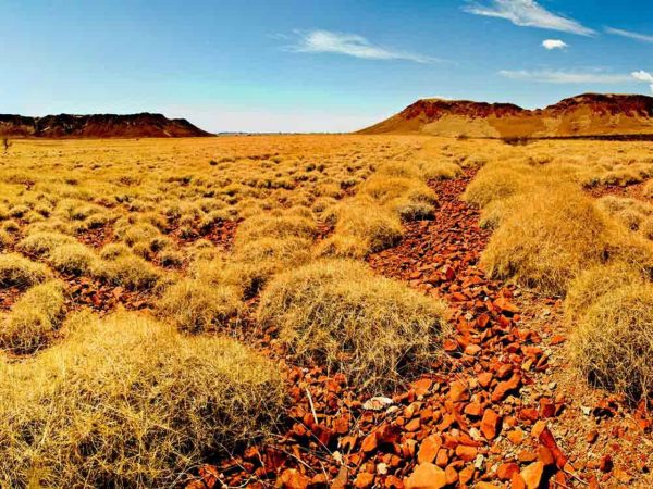 Pilbara landscape