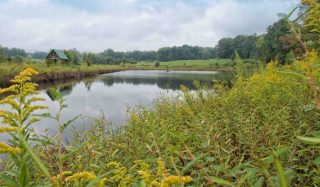 Stantec receives HRH The Prince of Wales’ Terra Carta Seal