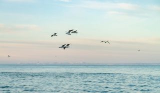 TYPSA-Stantec design joint venture appointed to Anglian Water’s Desalination Technical Partner Framework