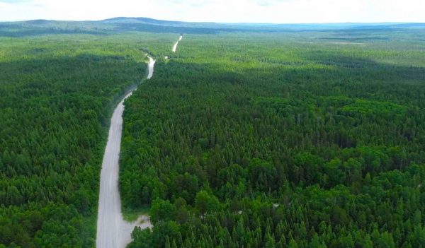 A roadway through a heavy treed landscape