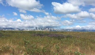 Stantec, Tetra Tech, APTIM joint venture selected for U.S. Navy CLEAN program