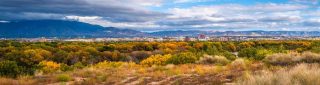 Albuquerque (Americas Parkway), New Mexico