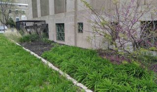 Green Infrastructure Cost Share Solutions