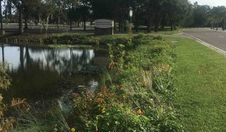 Stormwater Pond Study and Enhancements