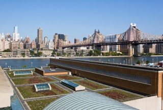 Green Roof for Con Edison's Learning Center