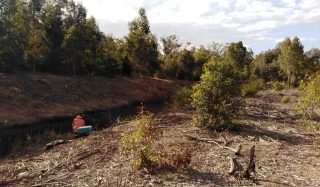 Minnippi - Cannon Hill Lakes Community Links