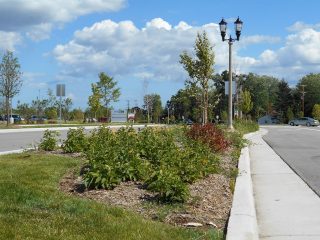 Falls Parkway Extension and Reconstruction