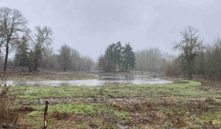 Fanno Creek – Denny to Hall – Stream Relocation