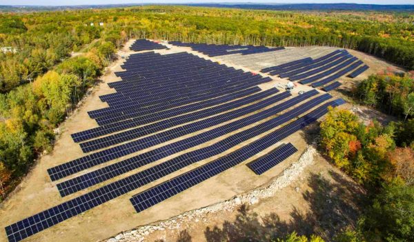 Aerial view of large solar farm surrounded by trees