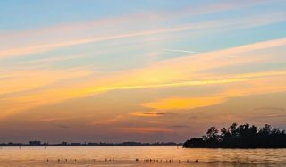 Boulevard of the Arts Shoreline Assessment