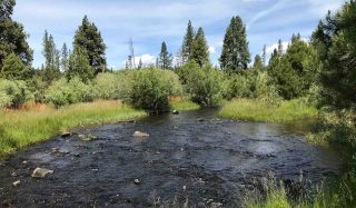 Klamath River Renewal