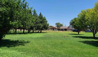 Clovis Trail Planning and Design