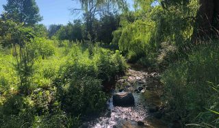Valley Creek Restoration Using Nature-based Solutions