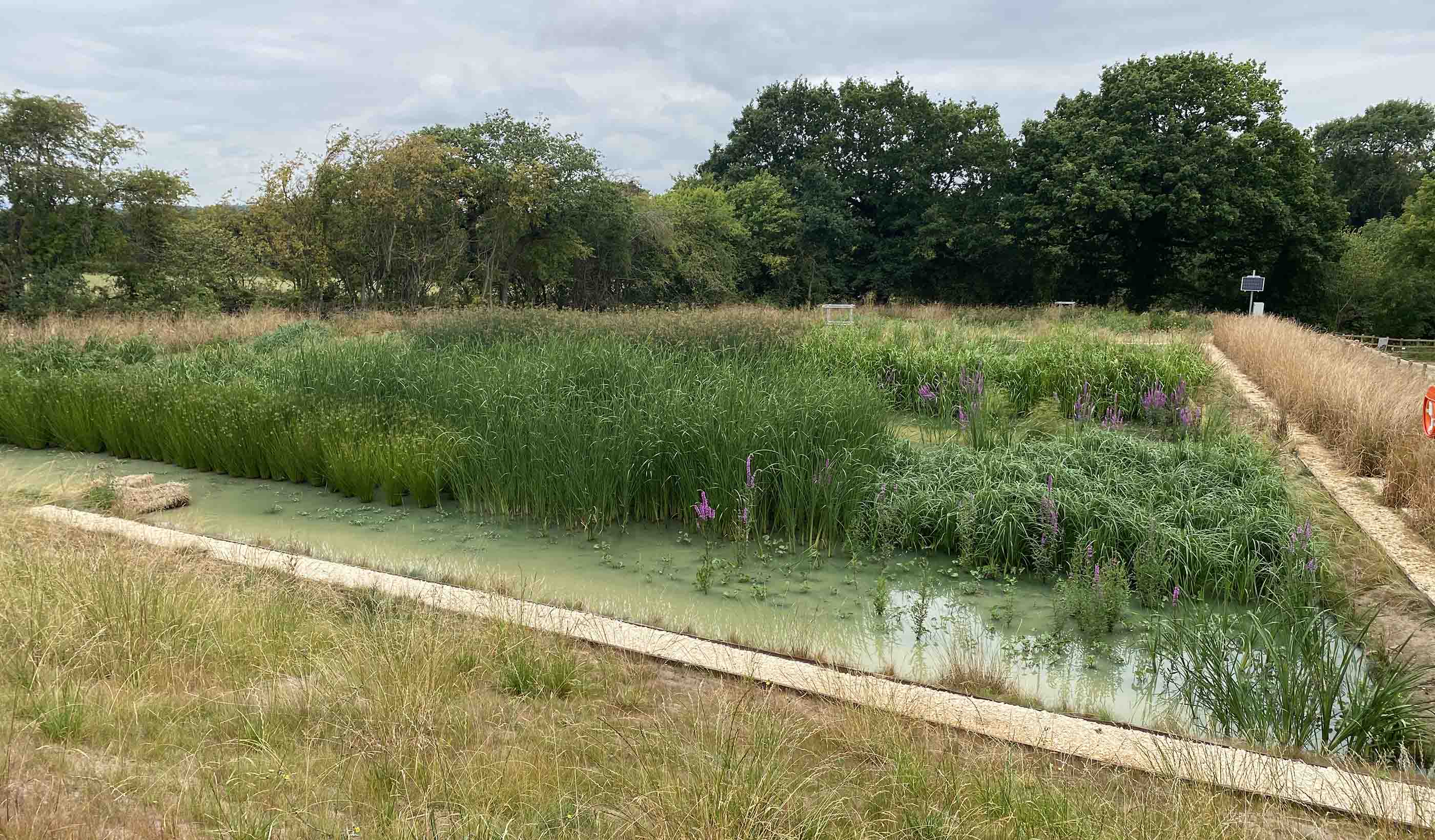 Clifton Integrated Constructed Wetland