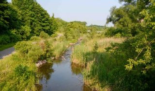 Stantec ranked first among its peers and fifth overall within the Corporate Knights 2023 Best Corporate Citizens in Canada