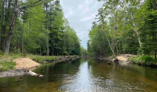 Kunze Creek Restoration