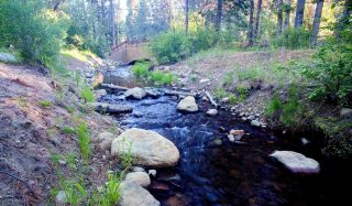 Third and Incline Creek Restoration