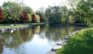 Victoria Park Lake Improvements