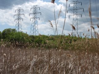 National Grid - Environmental Services Term Agreement 