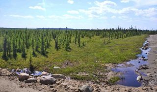 MacKay River Commercial Phase 1