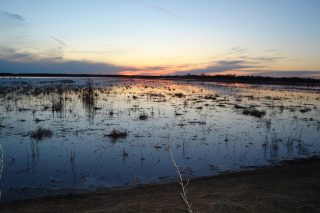 Lost Creek Mitigation Bank Design